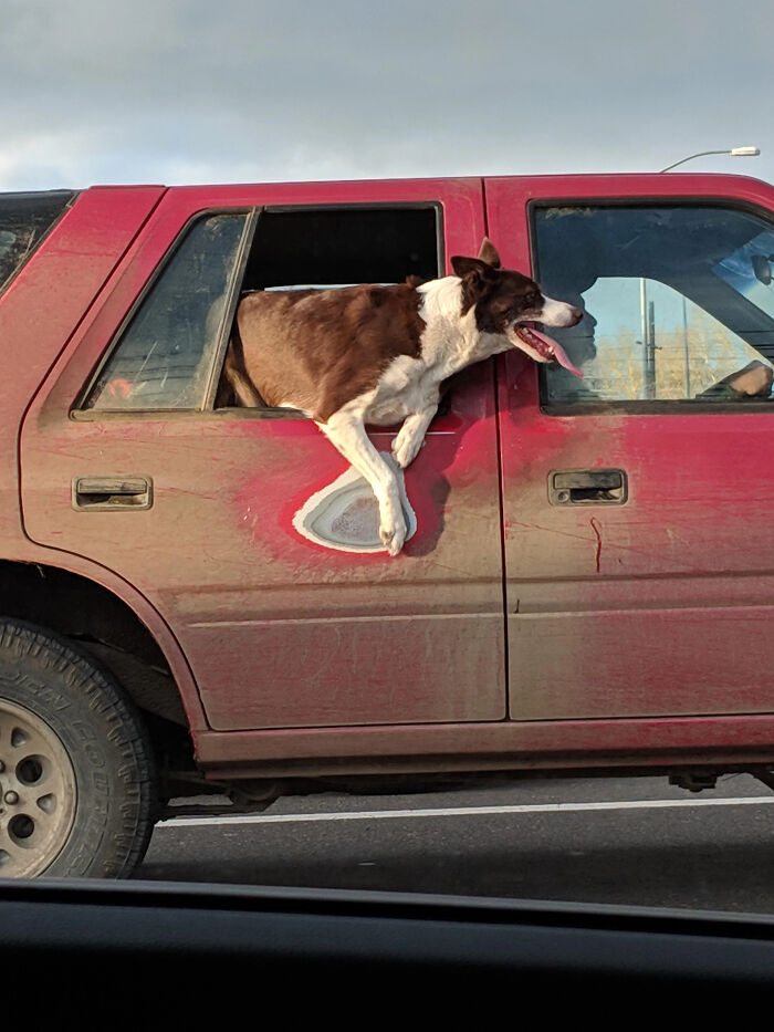 Wait Till You See These Things Totally Beat Up By Time!