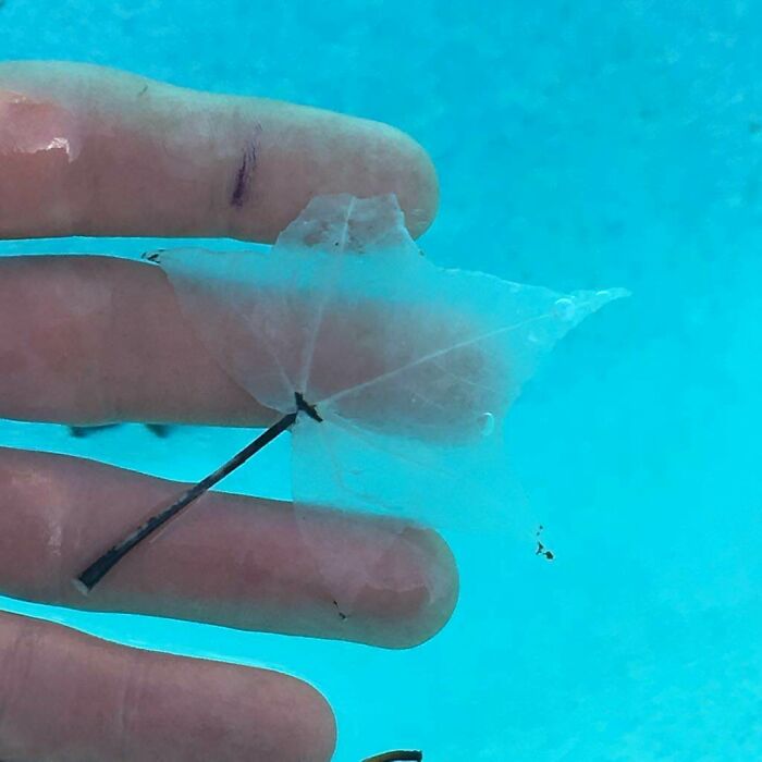 Wait Till You See These Things Totally Beat Up By Time!