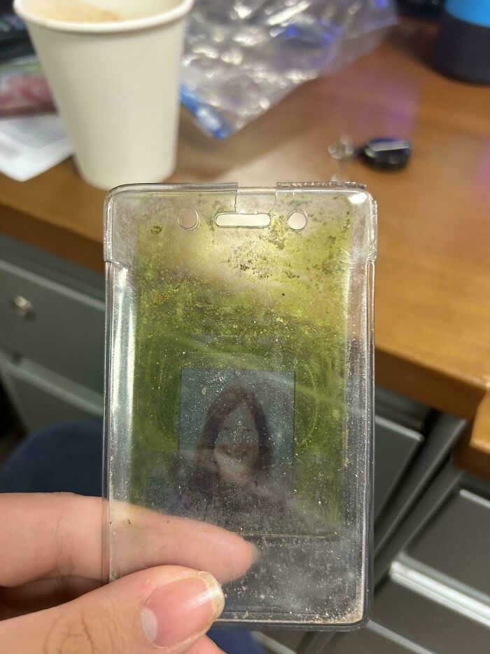 Wait Till You See These Things Totally Beat Up By Time!
