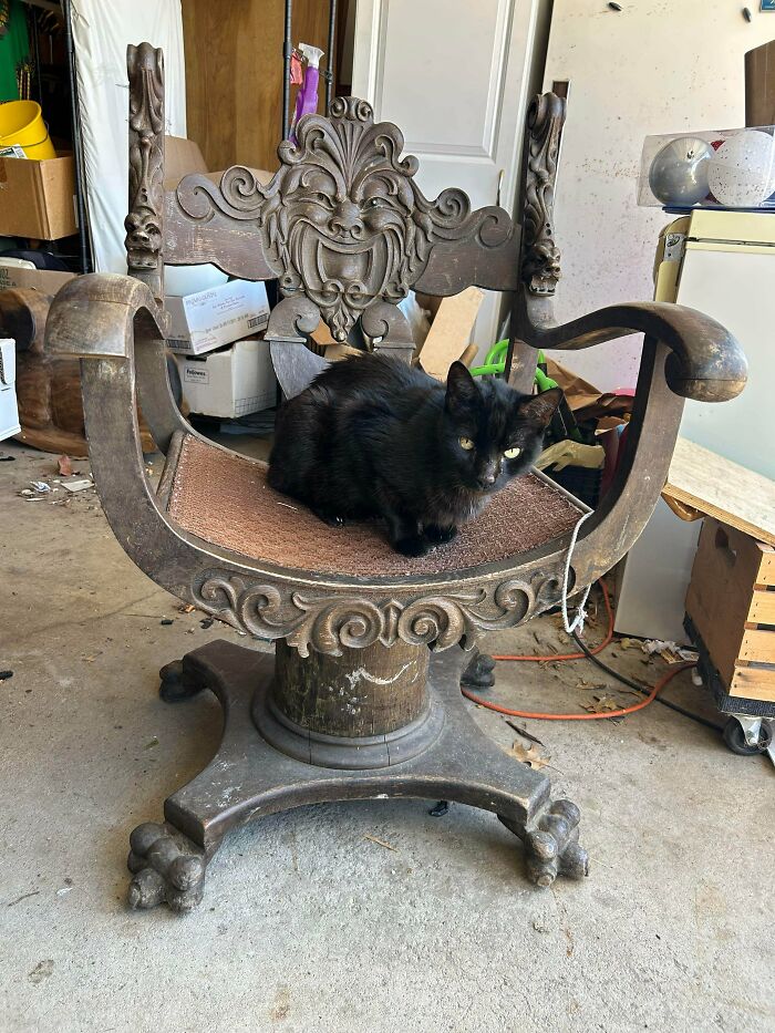 North Wind Face Chair – Ohio’s Antique Beast
