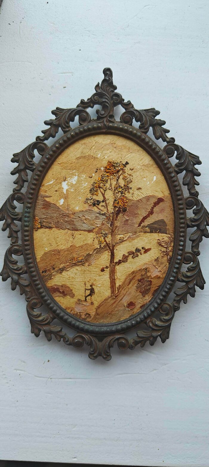 Garage Finds from the Netherlands – Why Is This Hidden Here?