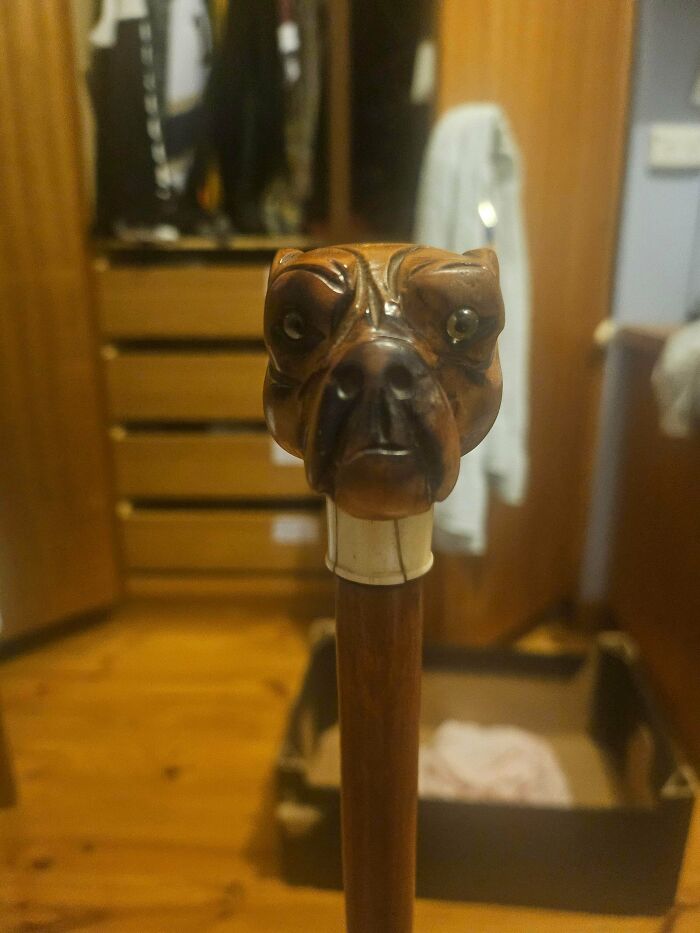 Wtf Did I Buy? Aussie Antique Surprise