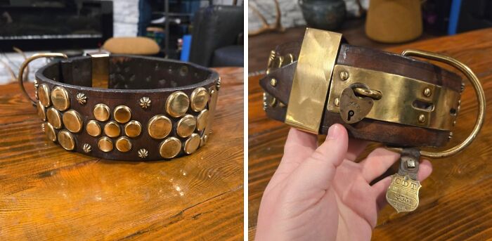 Dog Collar from 1899 – Chicago’s Canine Classic