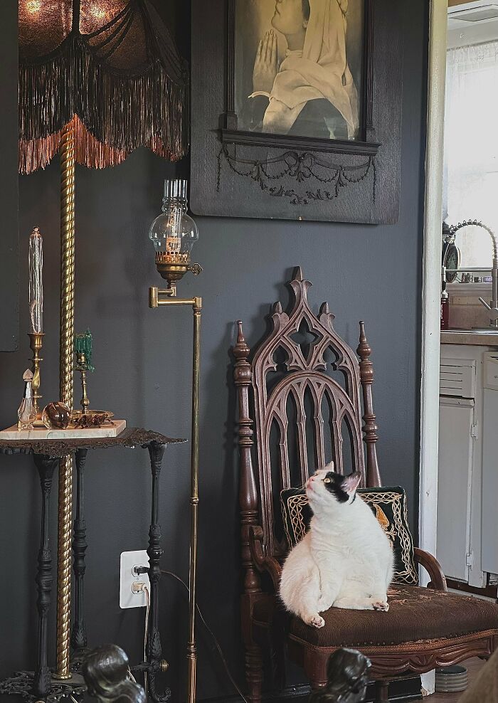 Victorian Antiques and a Cute Kitty – USA, VA