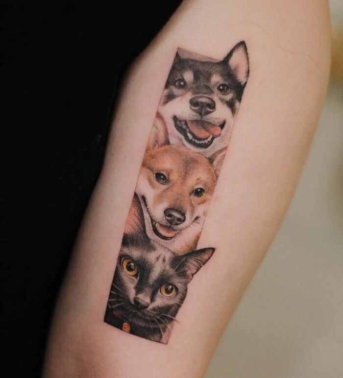 Wait, They Actually Tattooed Their Pets? 37 Awesome Cat & Dog Tattoos That Make Us Go 'Aww!'