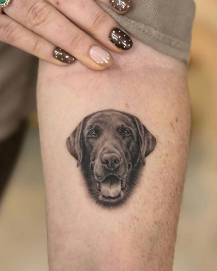 Wait, They Actually Tattooed Their Pets? 37 Awesome Cat & Dog Tattoos That Make Us Go 'Aww!'
