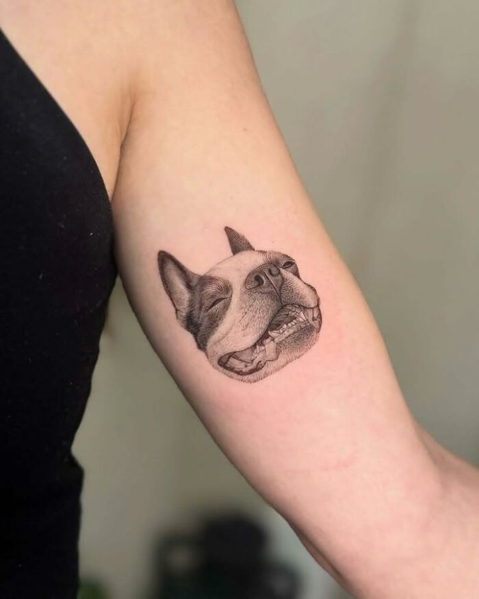 Wait, They Actually Tattooed Their Pets? 37 Awesome Cat & Dog Tattoos That Make Us Go 'Aww!'