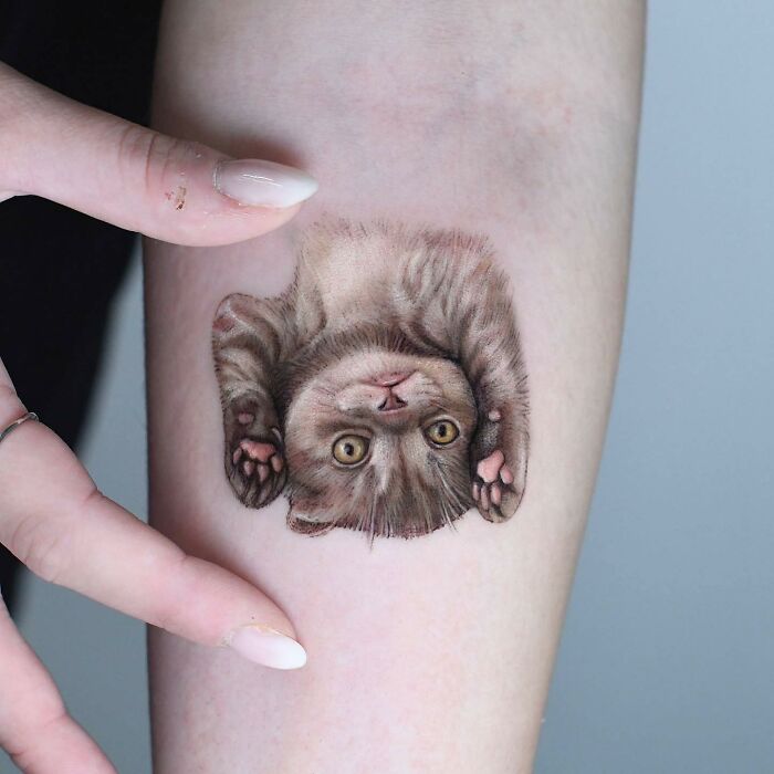 Wait, They Actually Tattooed Their Pets? 37 Awesome Cat & Dog Tattoos That Make Us Go 'Aww!'