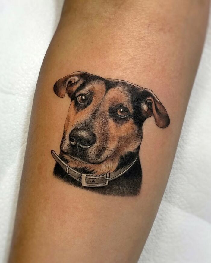 Wait, They Actually Tattooed Their Pets? 37 Awesome Cat & Dog Tattoos That Make Us Go 'Aww!'