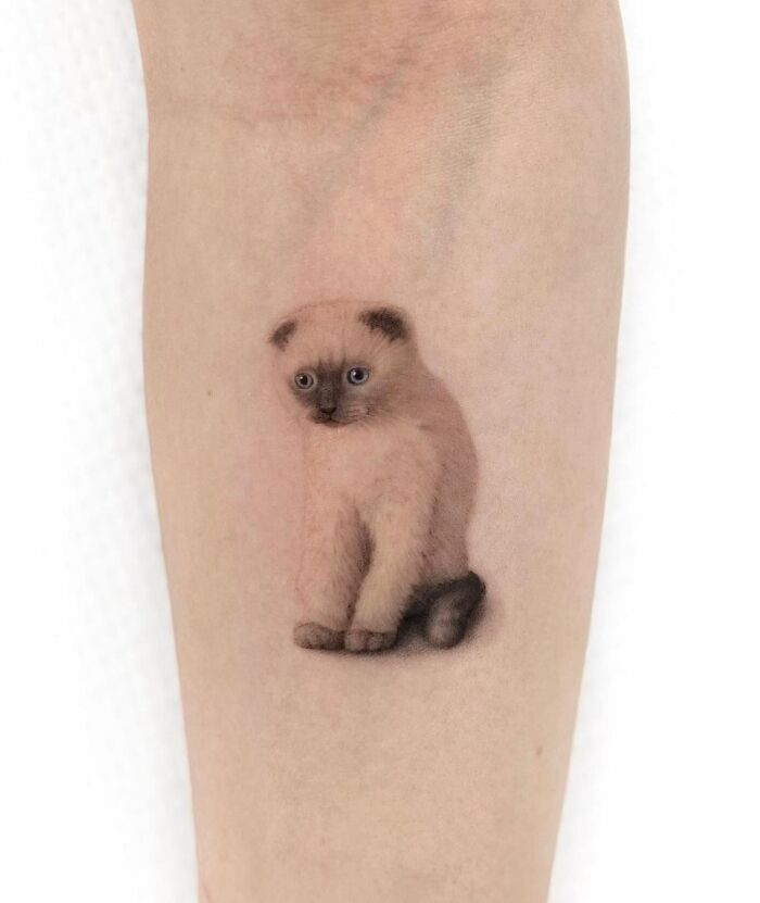 Wait, They Actually Tattooed Their Pets? 37 Awesome Cat & Dog Tattoos That Make Us Go 'Aww!'