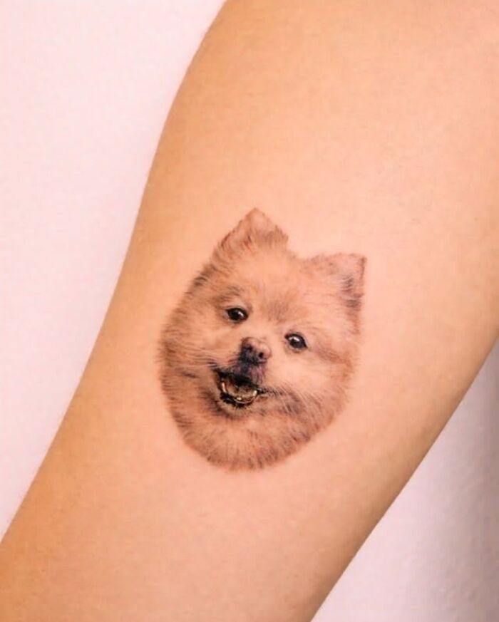 Wait, They Actually Tattooed Their Pets? 37 Awesome Cat & Dog Tattoos That Make Us Go 'Aww!'