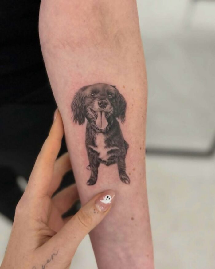 Wait, They Actually Tattooed Their Pets? 37 Awesome Cat & Dog Tattoos That Make Us Go 'Aww!'