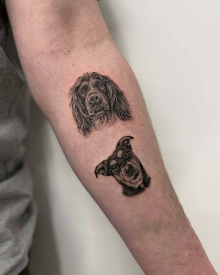 Wait, They Actually Tattooed Their Pets? 37 Awesome Cat & Dog Tattoos That Make Us Go 'Aww!'
