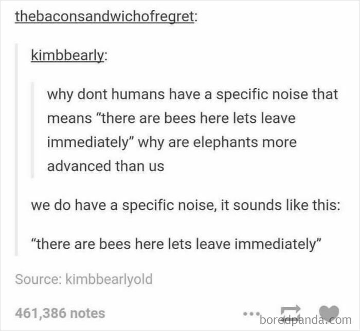 Watch Out, Bees Are Serious Business!