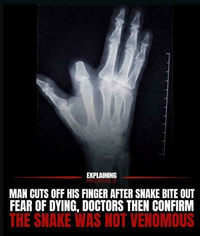 Wait, They Actually Shared These Epic Facepalm Fails?!