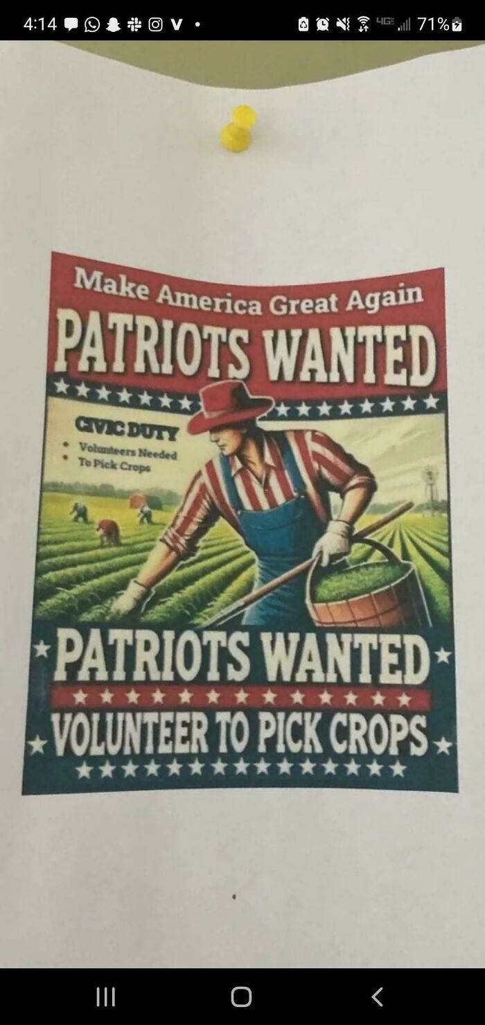Wait, They Actually Took Photos Of This? Welcome To Dystopian America!