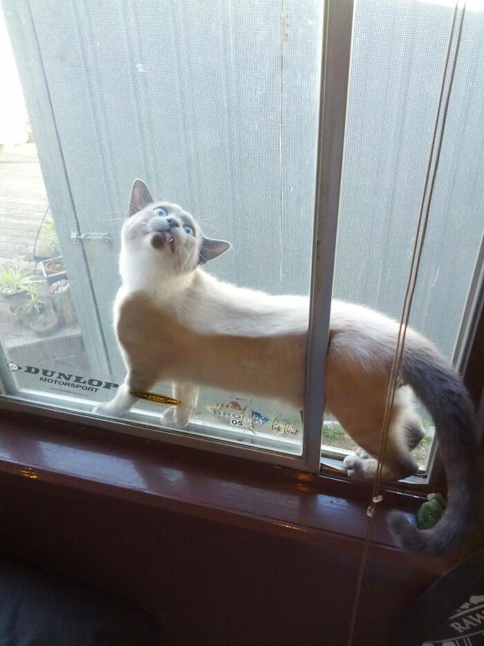 This Guy’s Owning The ‘I’m Stuck’ Look Today