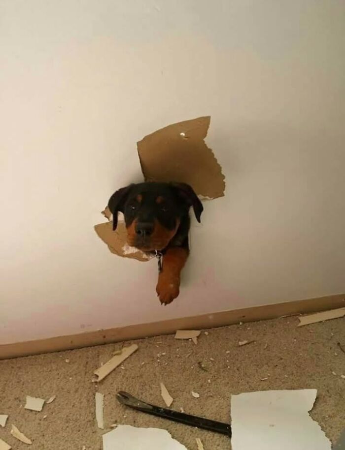 He’s A Hot Mess And Proud Of It
