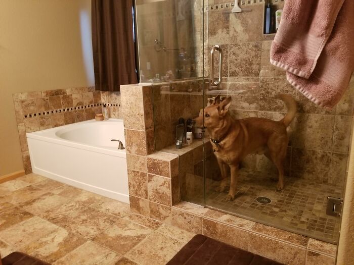 Shower Drama: Trapped And Whining