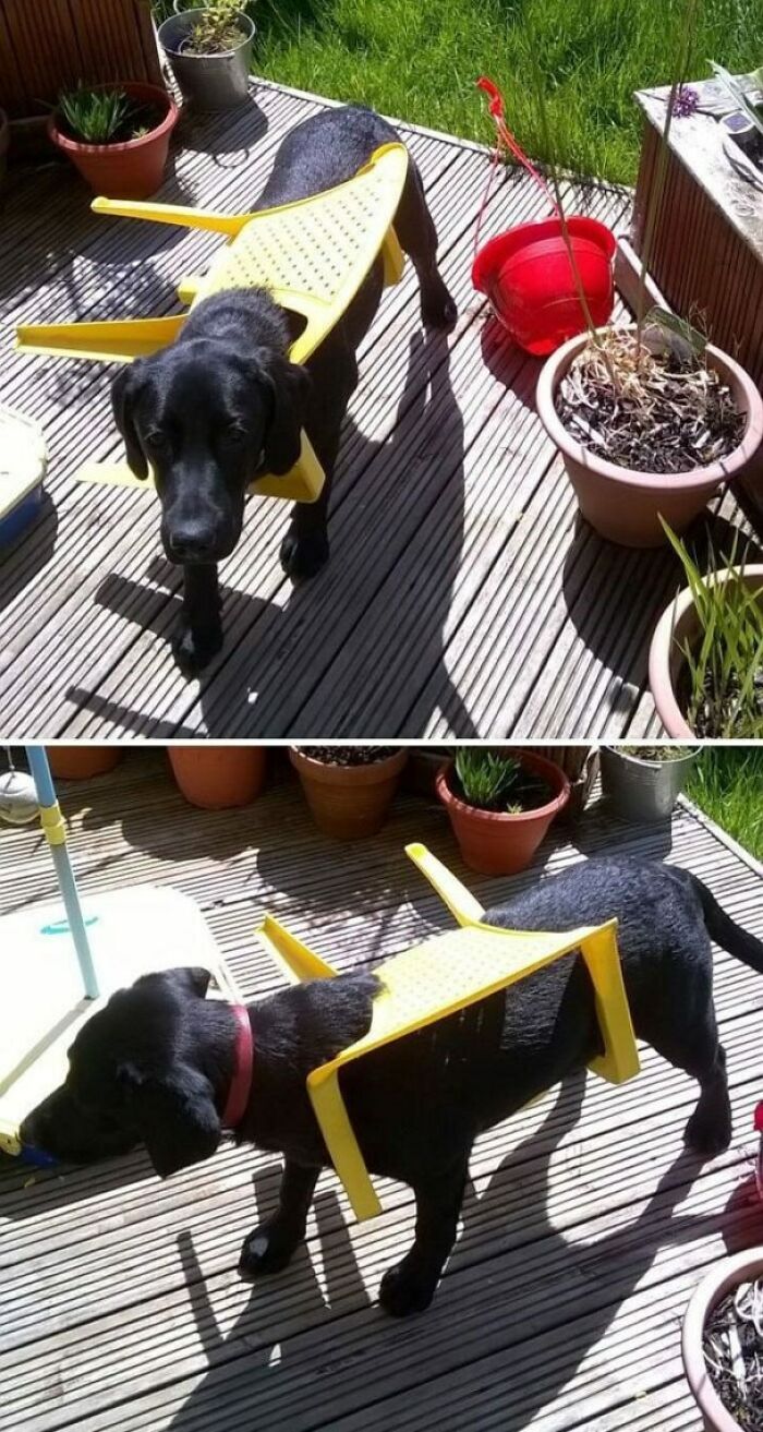 Yep, I’m Stuck... Help!
