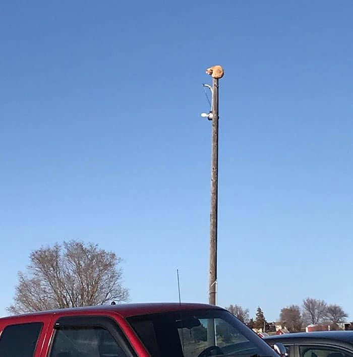 Oh... Yeah, That’s Stuck