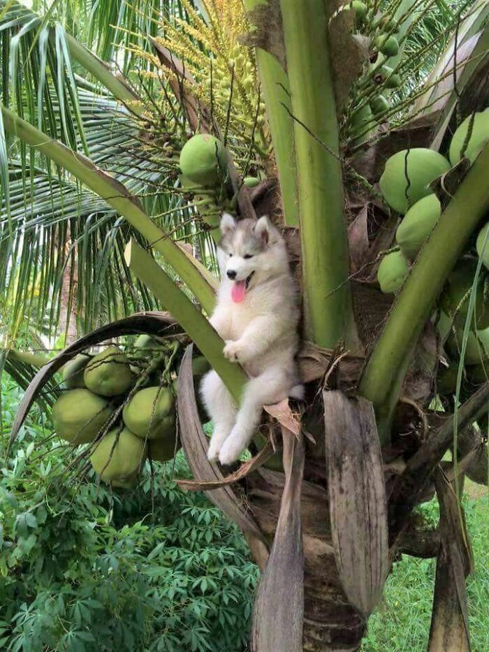 That Is One Strange Monkey Situation