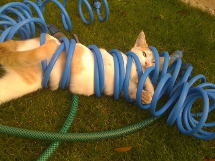 Move Along, Nothing Stuck Here!