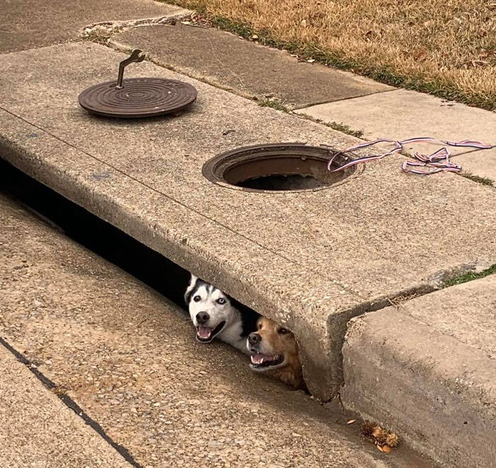 Dumpster Divers In Storm Drain