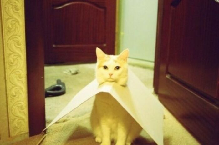 Surprise! You’re Home Early
