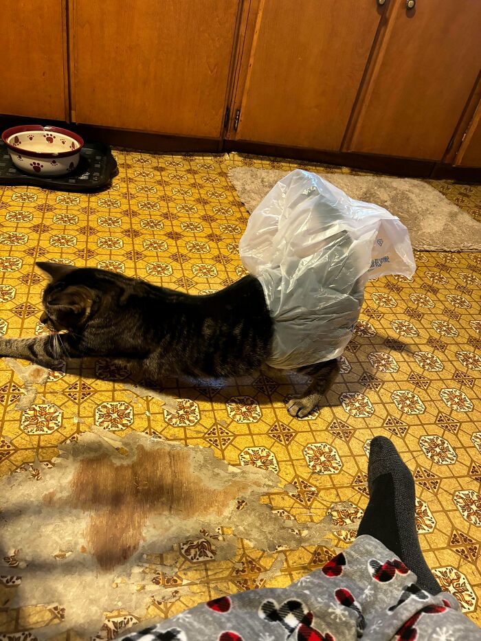 Bag Around Waist? Yep, That’s Stuck