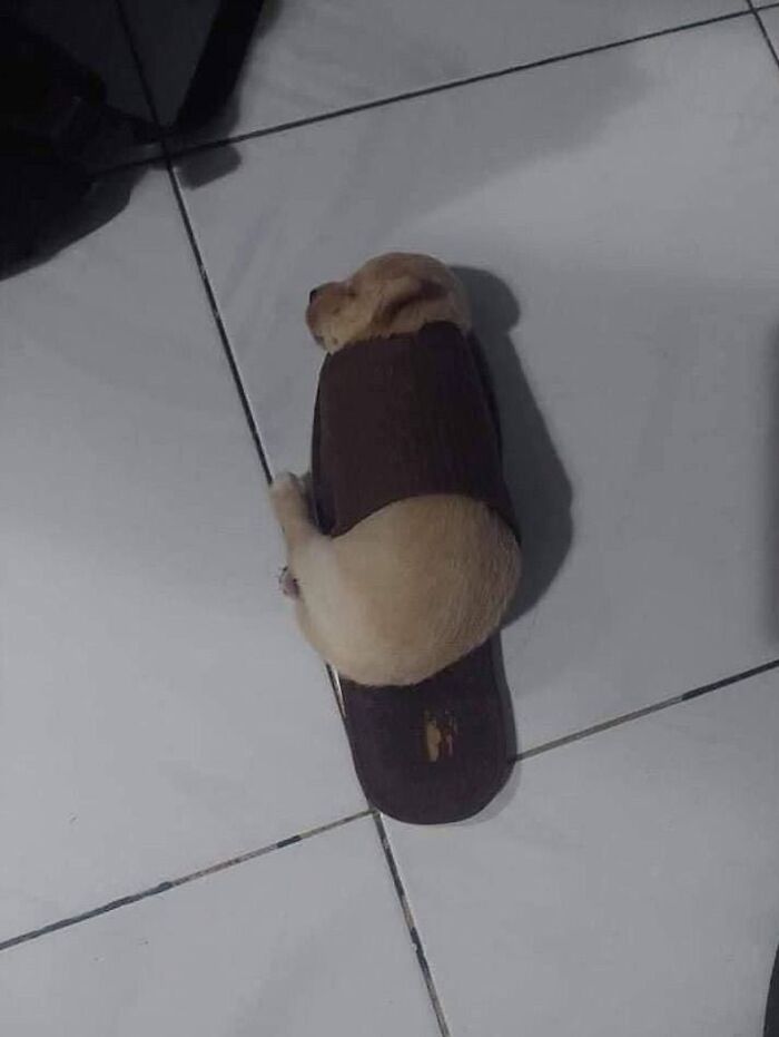 Slipped Up Big Time