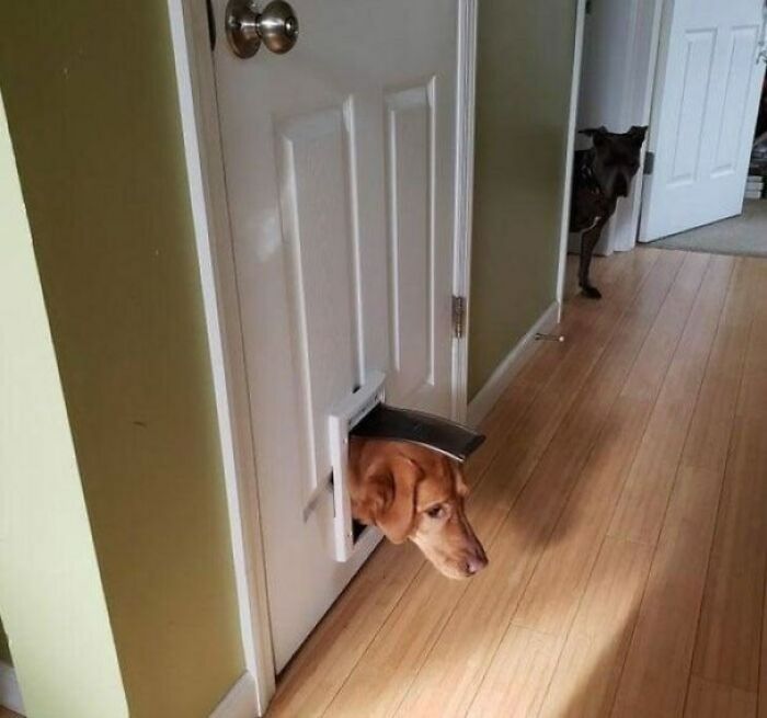 Hello? Is Anybody Out There?