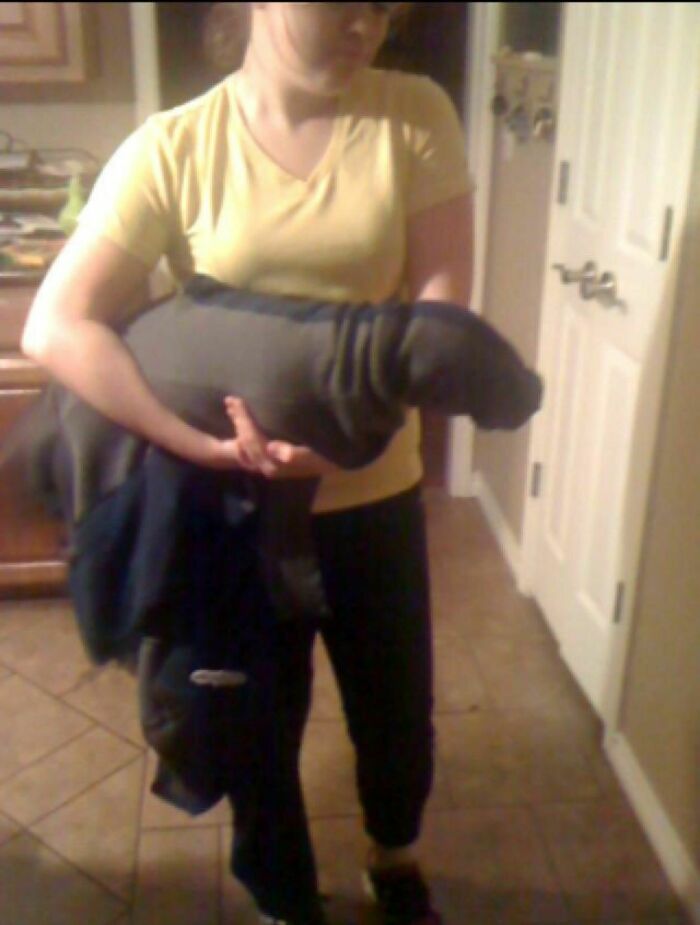 Doxie’s Jacket Sleeve Adventure, Part 1 & 2