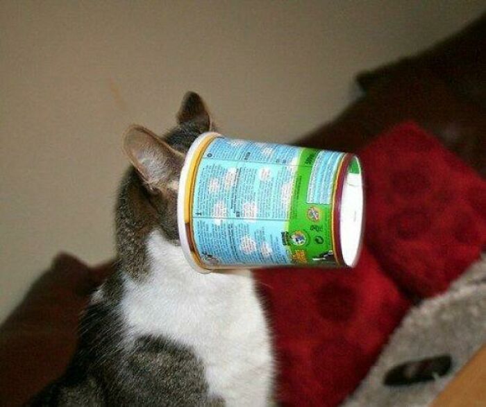 Ice Cream And Stuck? Oh No!