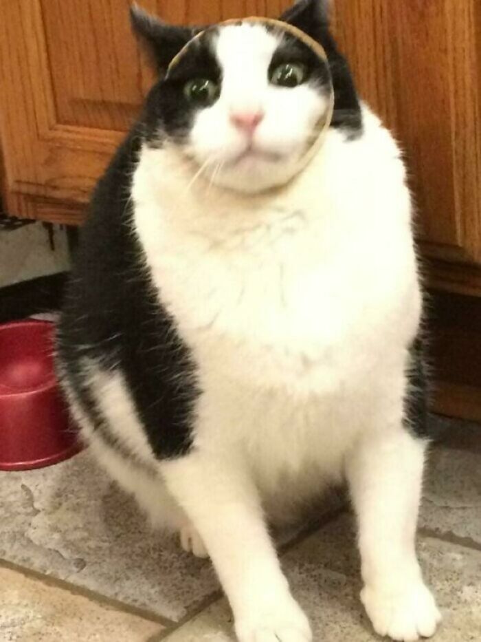 Help Human! Urgent!