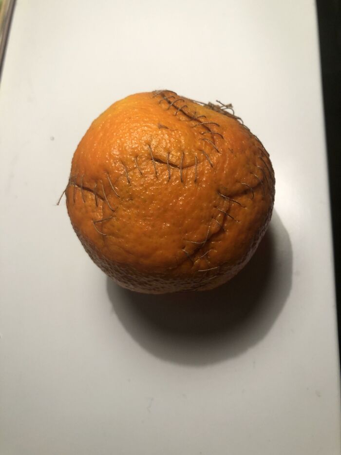 I Ate An Orange And Then Sewed The Peel Back Together Because? Boredom.