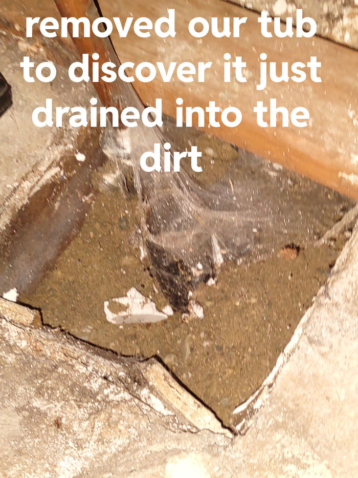 Wait, People Actually Tried These DIY Disasters?