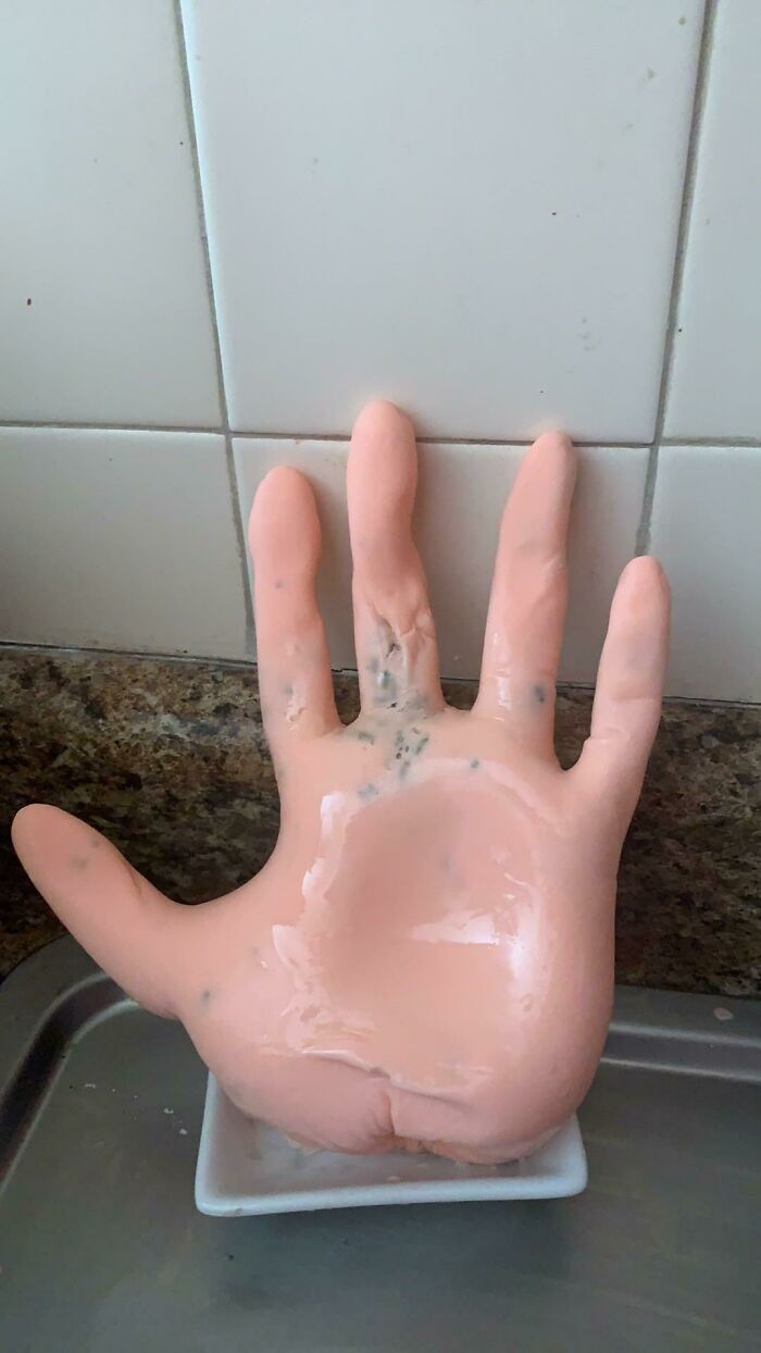 Wait, People Actually Tried These DIY Disasters?