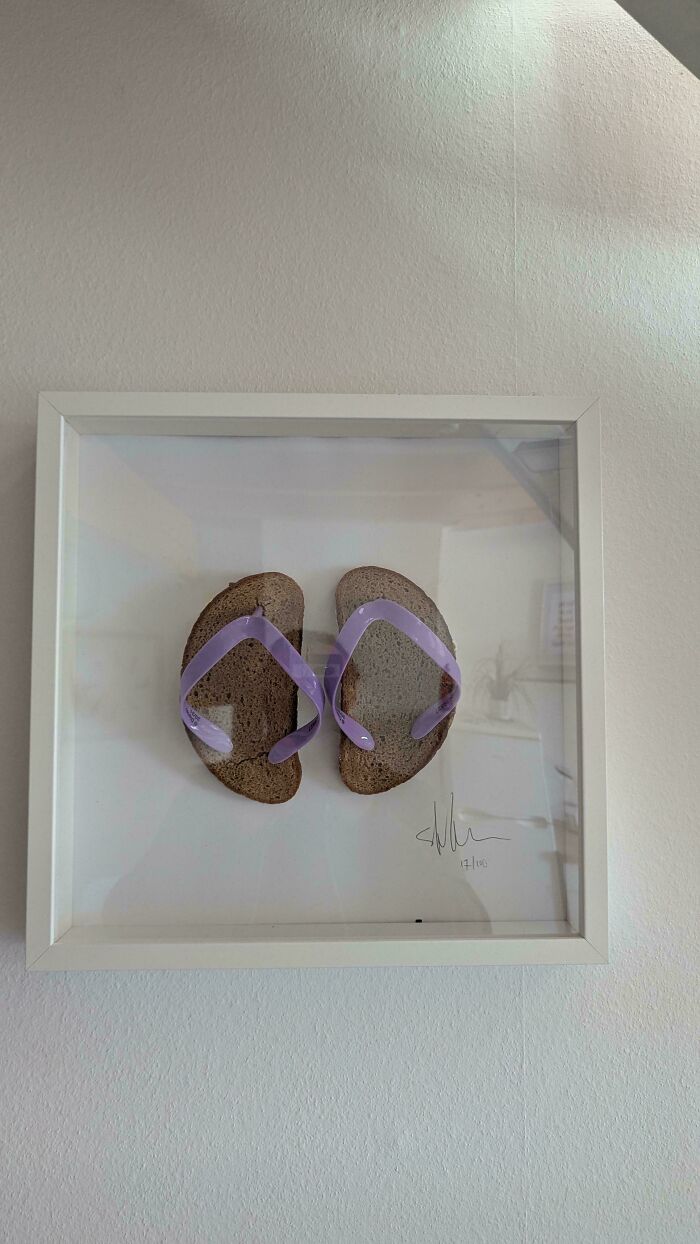 Wait, People Actually Tried These DIY Disasters?