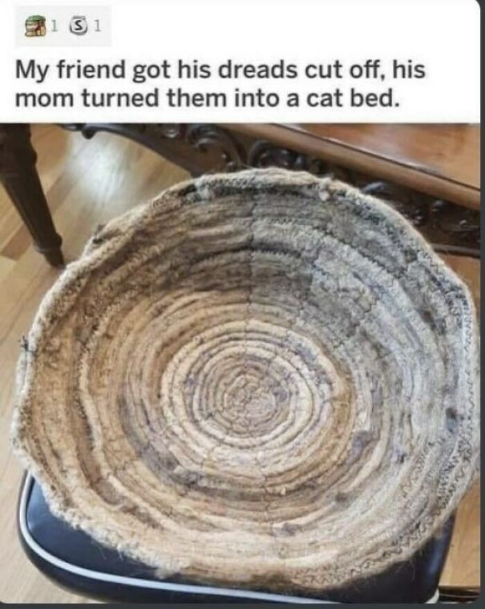 Wait, People Actually Tried These DIY Disasters?