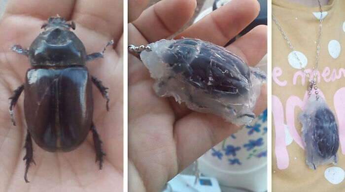 Wait, People Actually Tried These DIY Disasters?