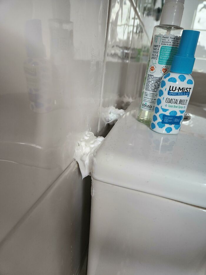 Wait, People Actually Tried These DIY Disasters?
