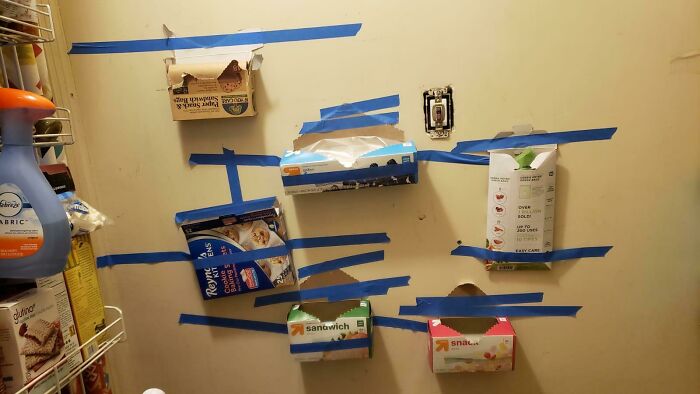 Wait, People Actually Tried These DIY Disasters?
