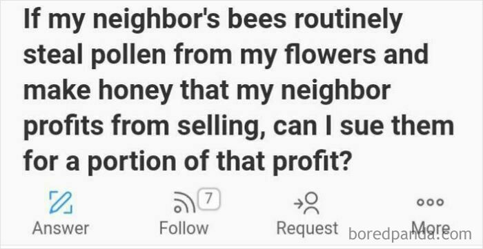 Suing Bees? Hey, That’s Actually Kinda Logical!