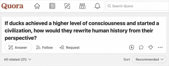 Wait, What Kind Of Question Is This Exactly?
