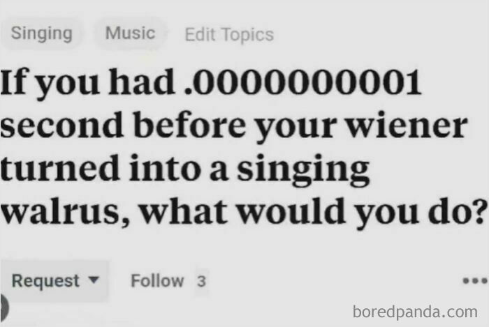 Who Even Comes Up With Questions Like This?!