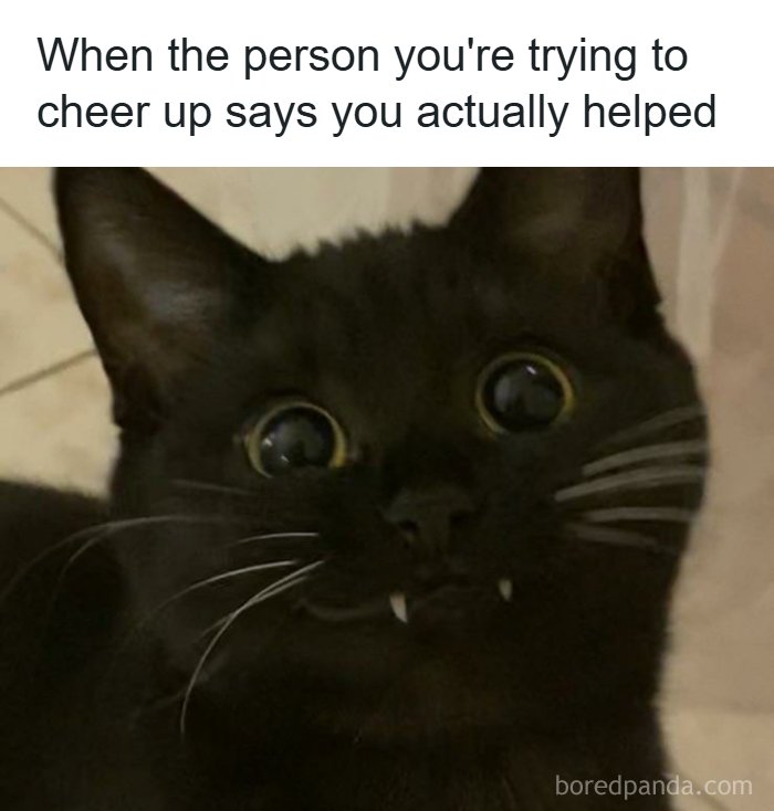 Get Ready to Smile: The Funniest, Cutest Memes That'll Totally Make Your Day
