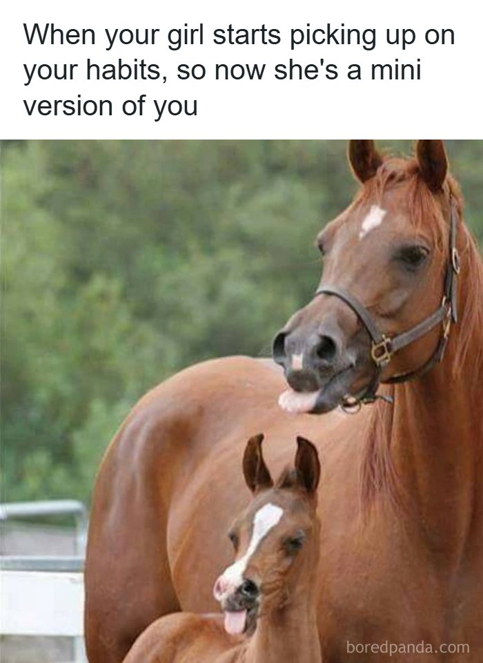 Get Ready to Smile: The Funniest, Cutest Memes That'll Totally Make Your Day