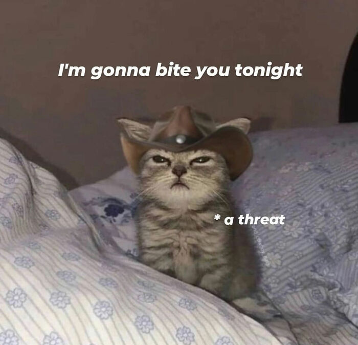 Get Ready to Smile: The Funniest, Cutest Memes That'll Totally Make Your Day