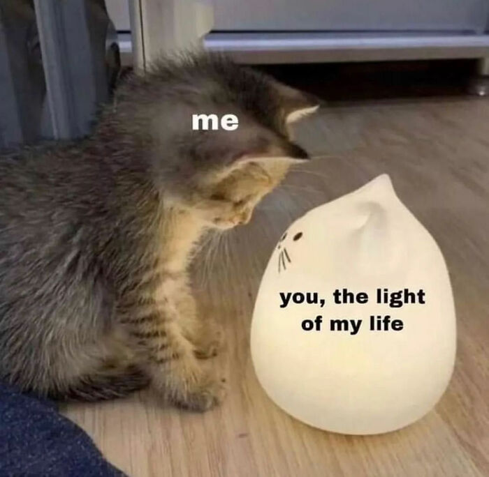 Get Ready to Smile: The Funniest, Cutest Memes That'll Totally Make Your Day